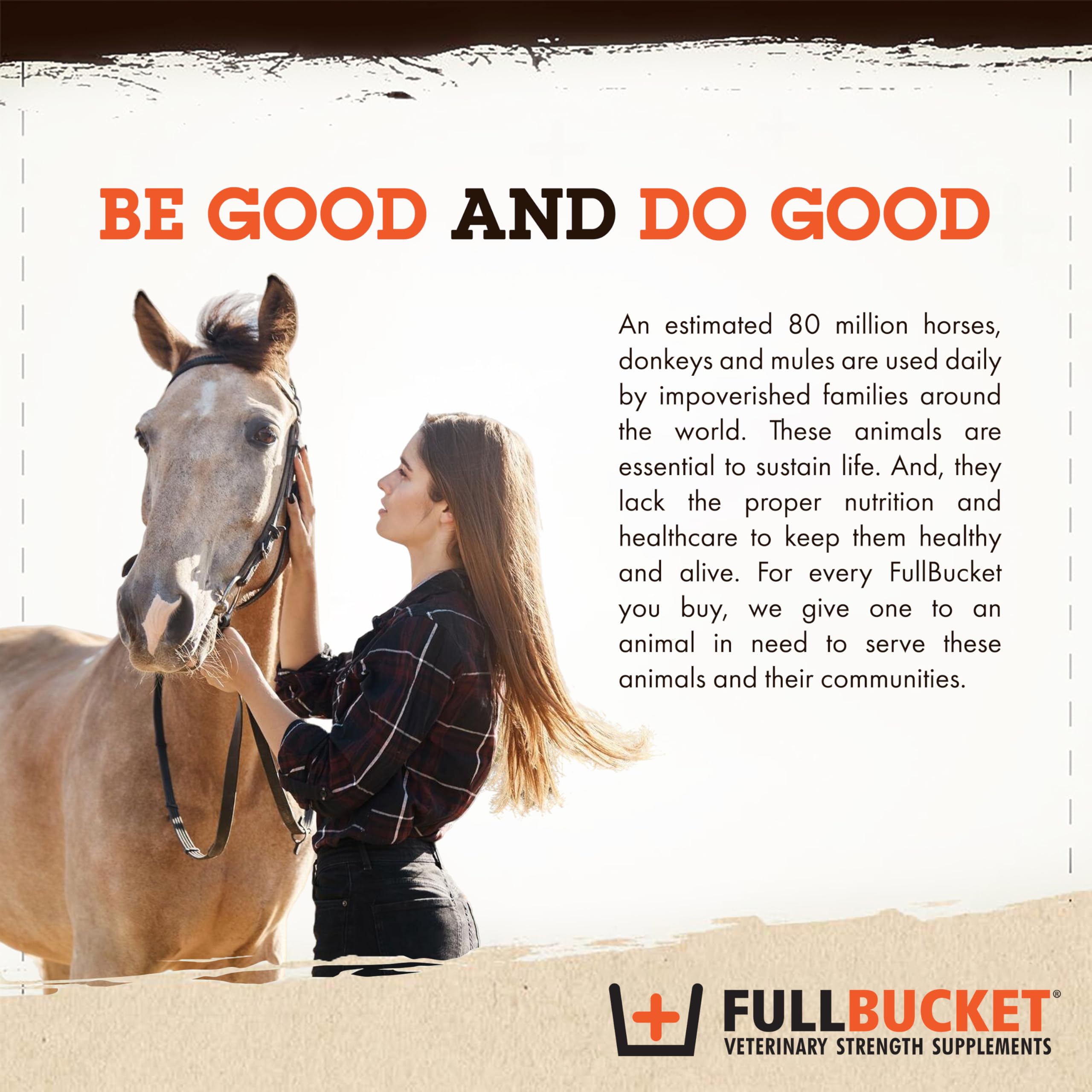FullBucket vie de champ avec cheval montrant bien‑être digestif quotidien