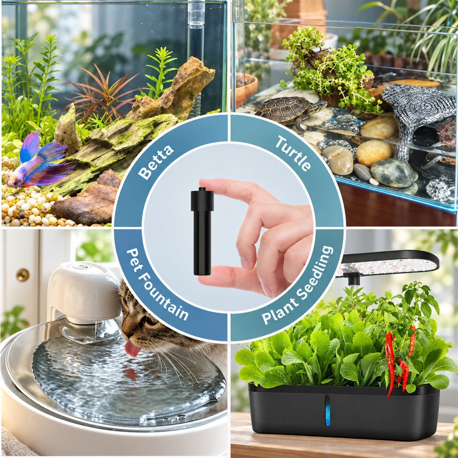 FUMAK mise en scène betta habitat confortable et discret
