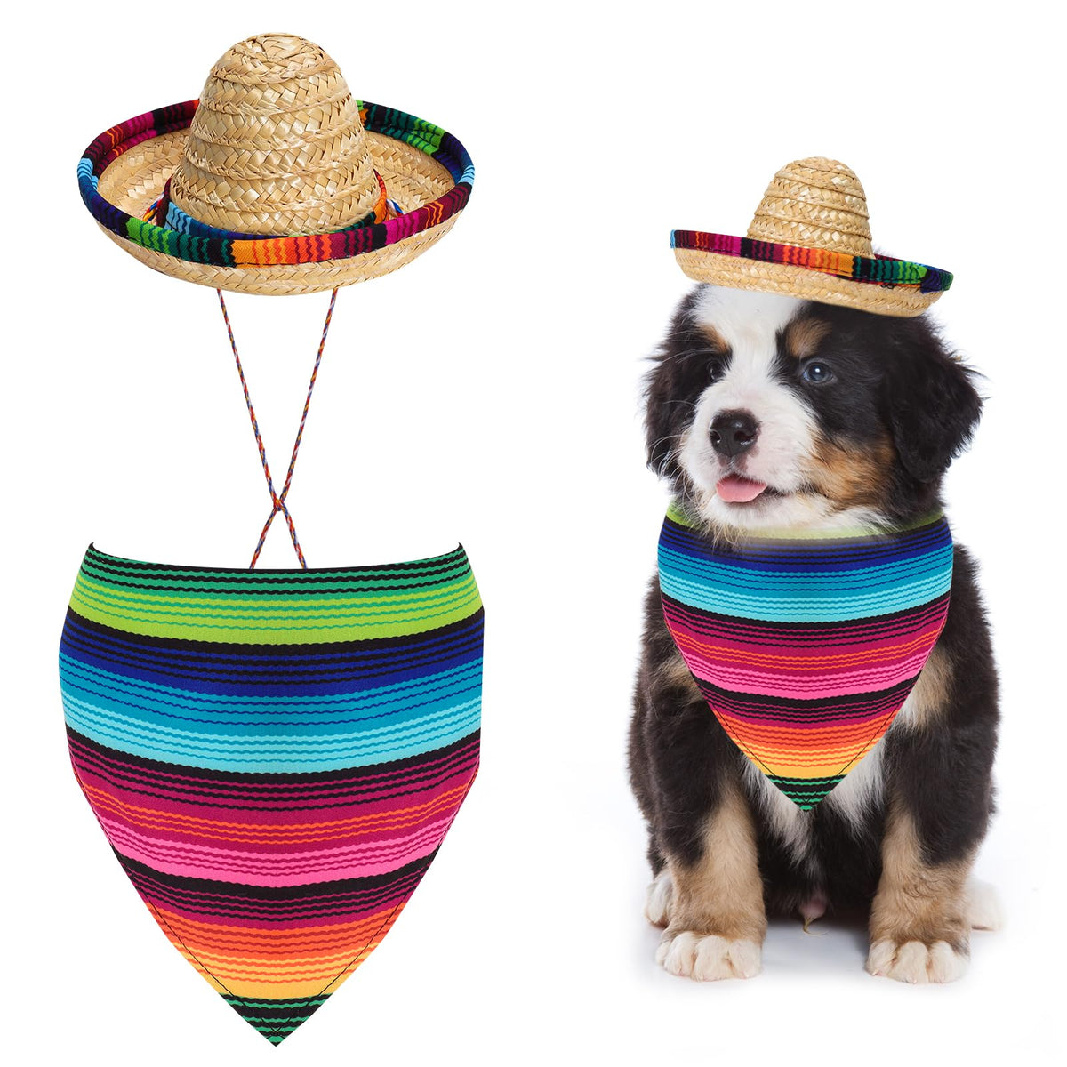 Fumwase sombrero face sur petit chien, look festif instantané