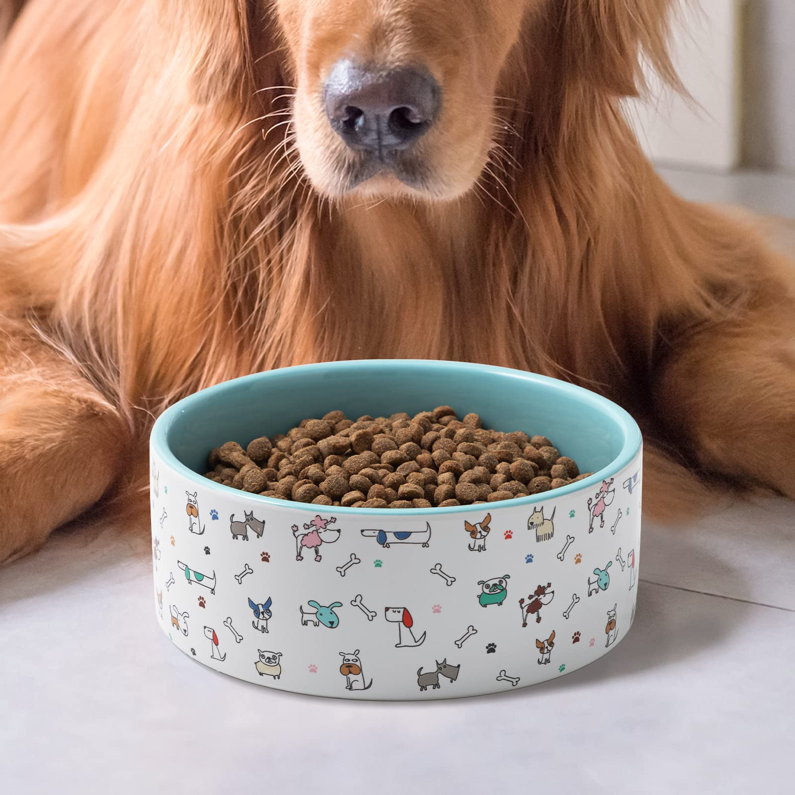 Chien utilisant la gamelle FUN ELEMENTS, prise de nourriture sans renversement