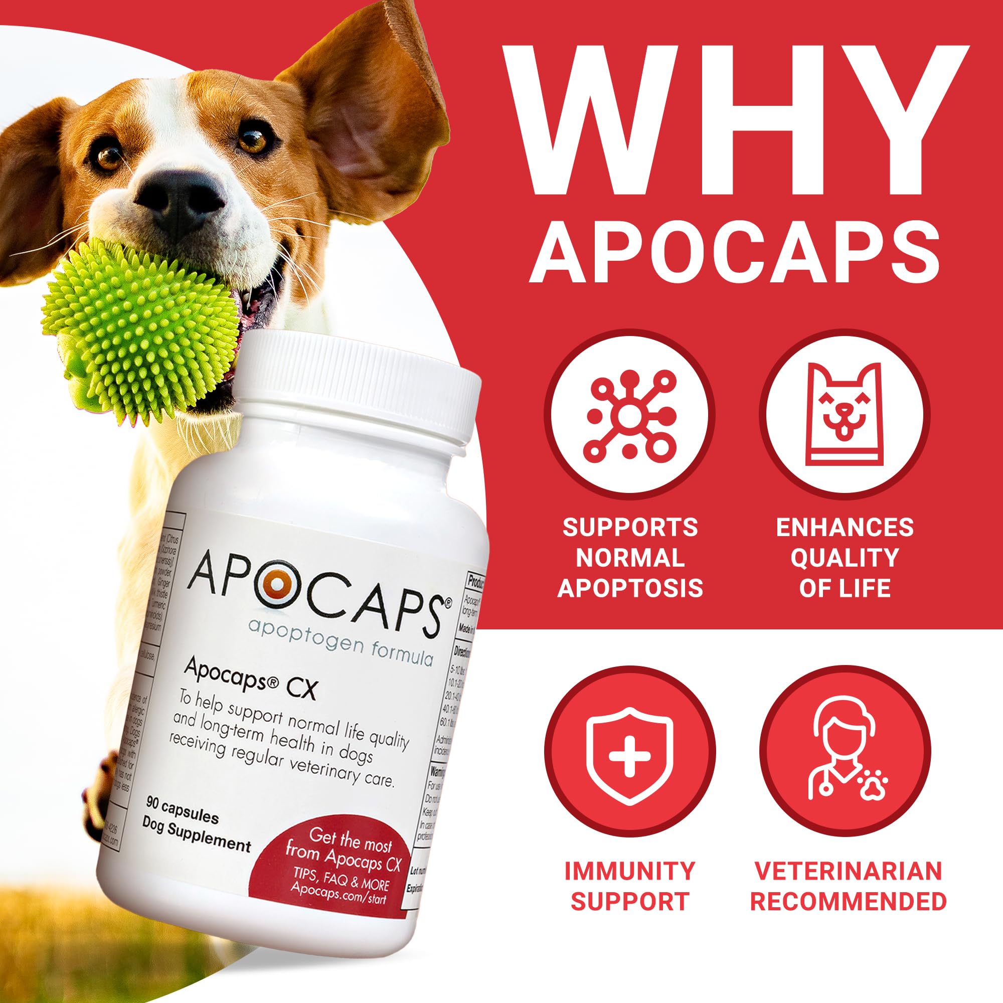 Functional Nutriments Apocaps CX gélule gros plan illustrant la texture et pureté