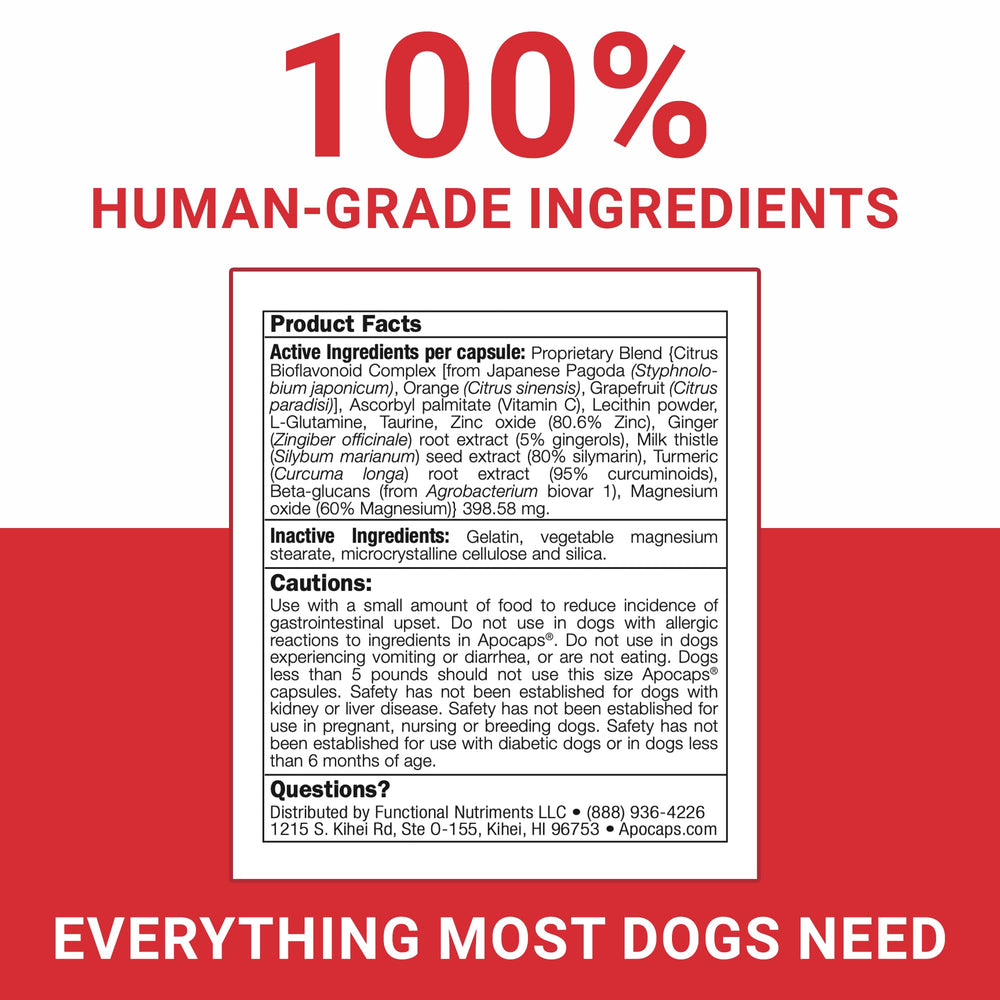 Functional Nutriments Apocaps CX administré à un chien senior pour confort quotidien
