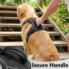 Funfox harnais anneaux métalliques résistants pour attache fiable