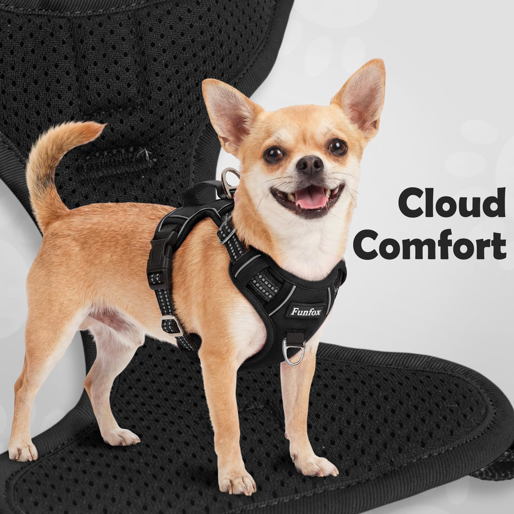 Funfox harnais porté par grand chien pour démontrer maintien sûr