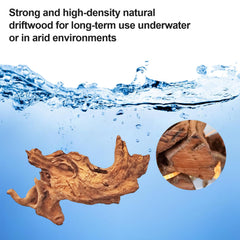 FUNOJOY branche servant de perchoir à un reptile, favorise cachettes naturelles