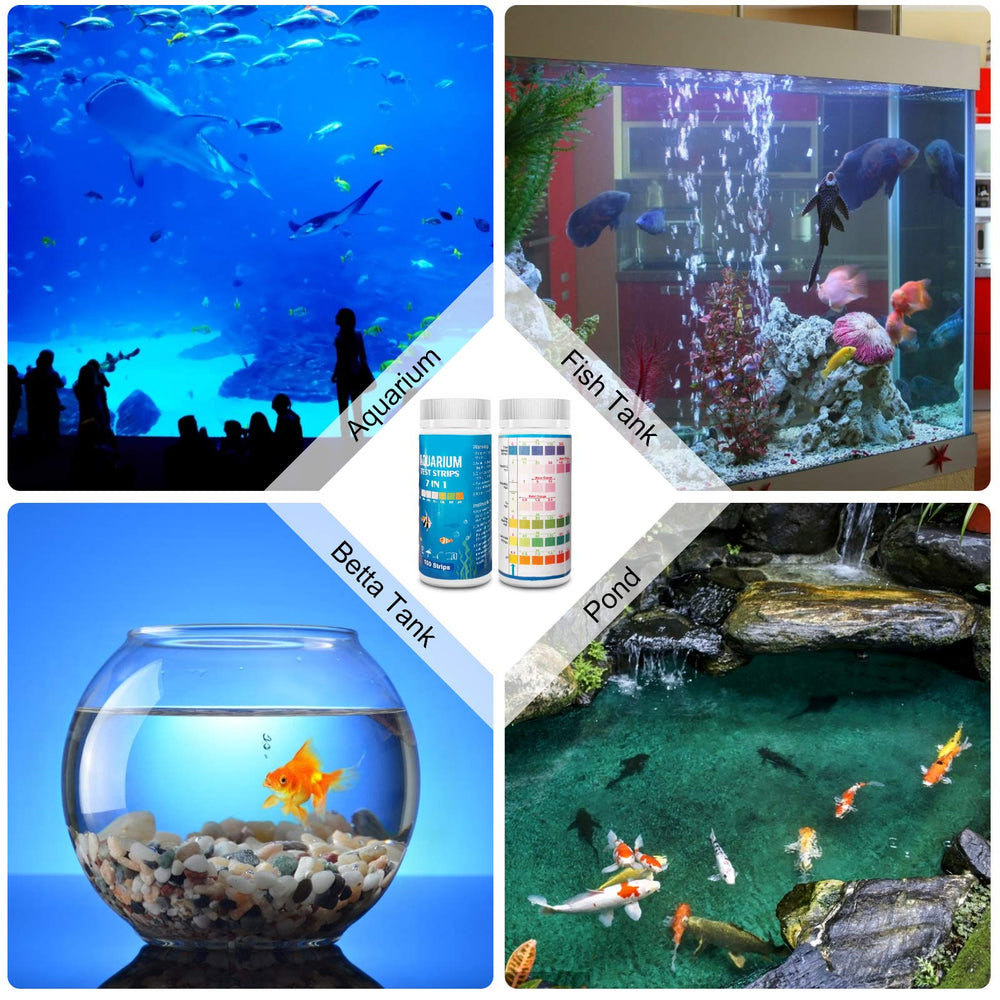 FUNSWTM aquarium planté avec bandelettes pour surveillance régulière