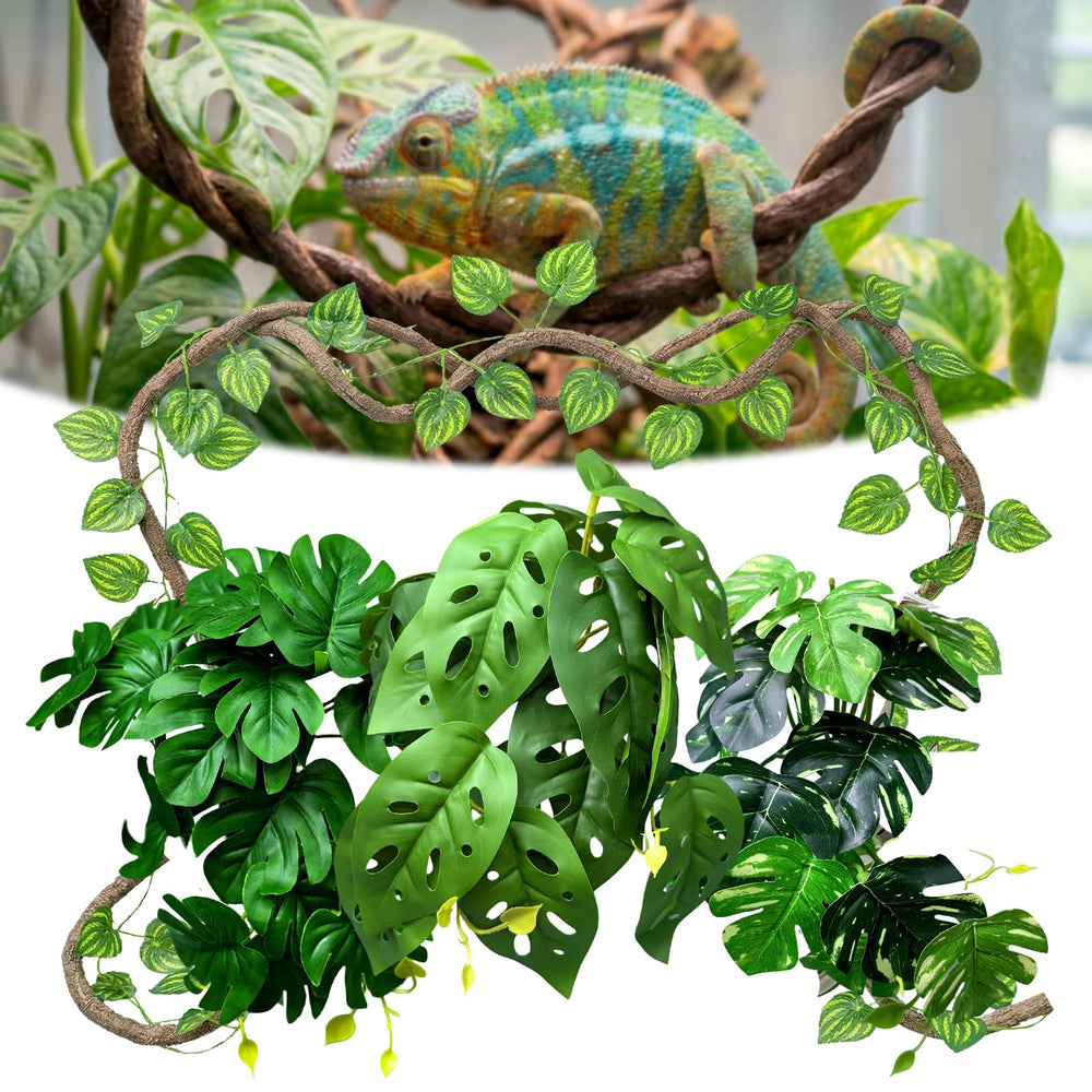 Funtinshdy vue avant du kit décor pour terrarium, transformation rapide