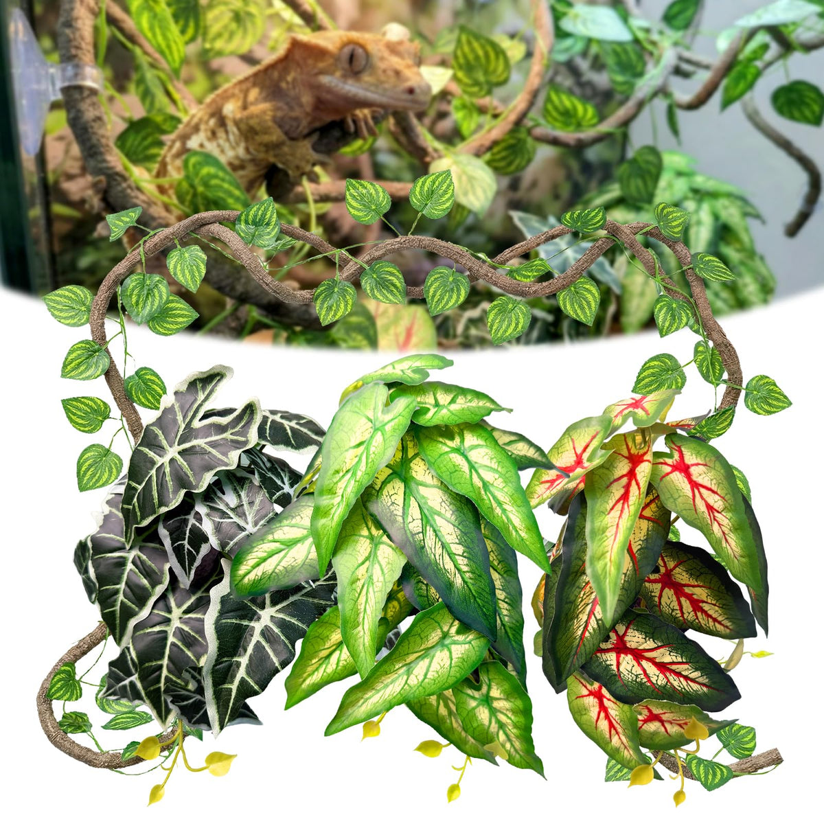 Funtinshdy vue générale du kit prêt à installer, gagnez un terrarium naturel