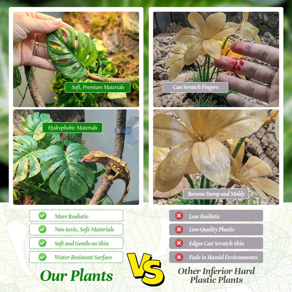 Funtinshdy plantes et liane installées dans aquarium, cachettes multiples
