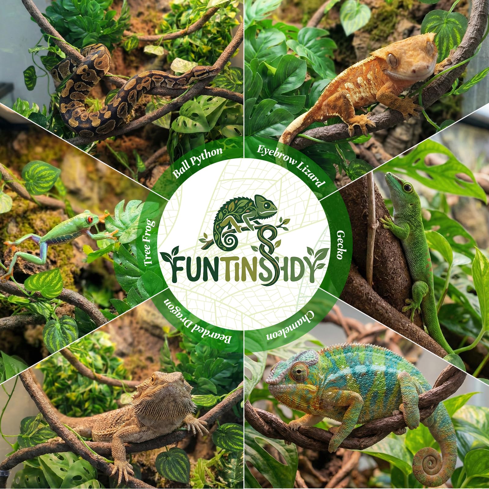 Funtinshdy décor posé en chambre, esthétique naturelle sans entretien