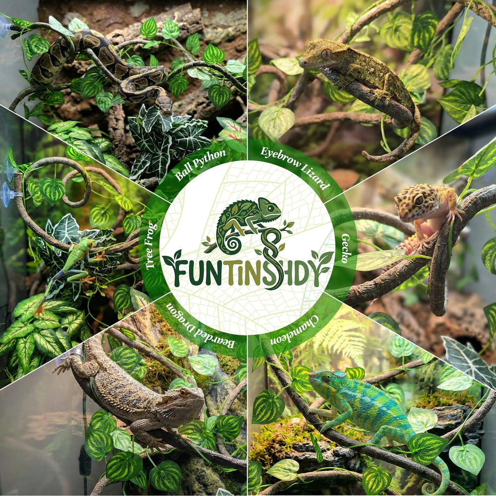 Funtinshdy gecko utilisant la liane et plantes pour grimper et se cacher