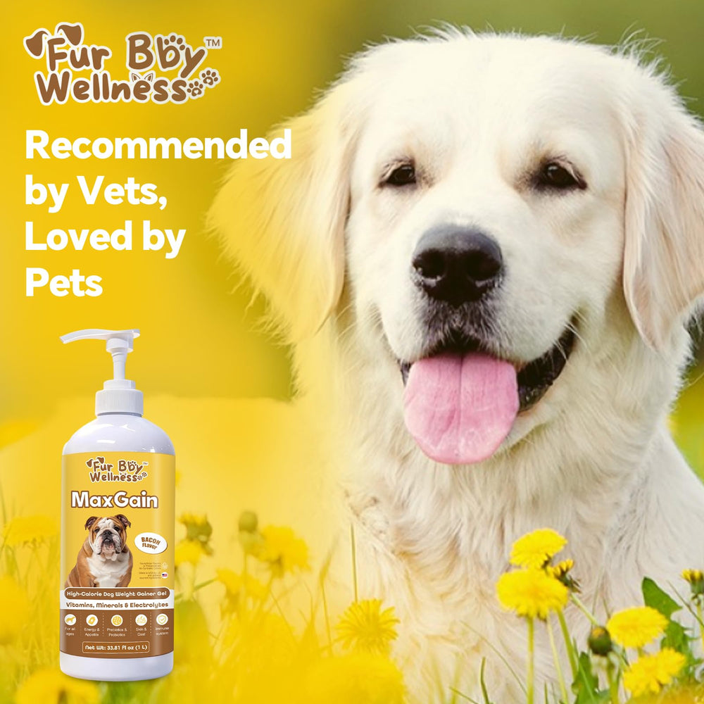 Fur Bby Wellness chiot prenant le gel bénéfice énergie et croissance