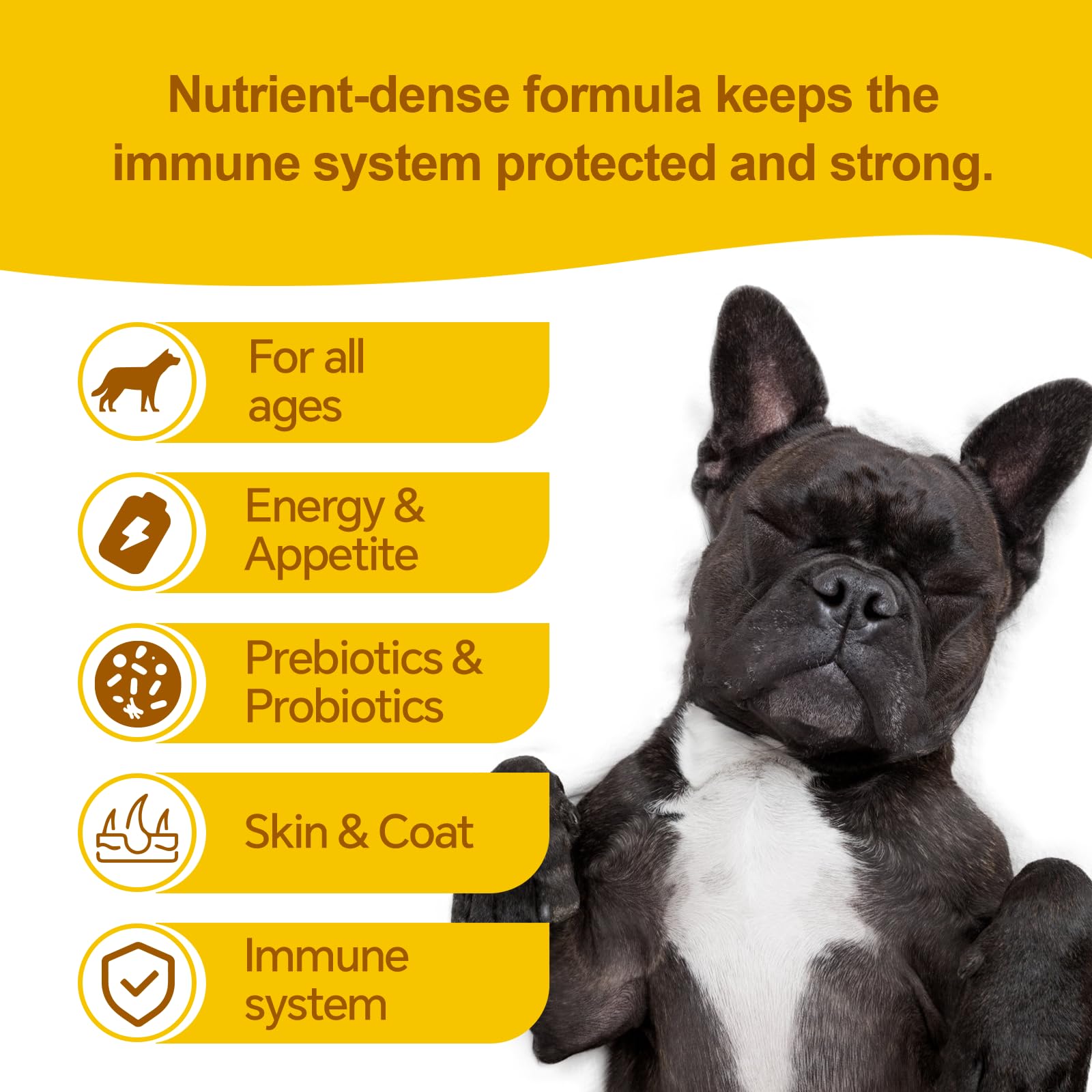Fur Bby Wellness gel mélangé à pâtée améliore appétit et calories