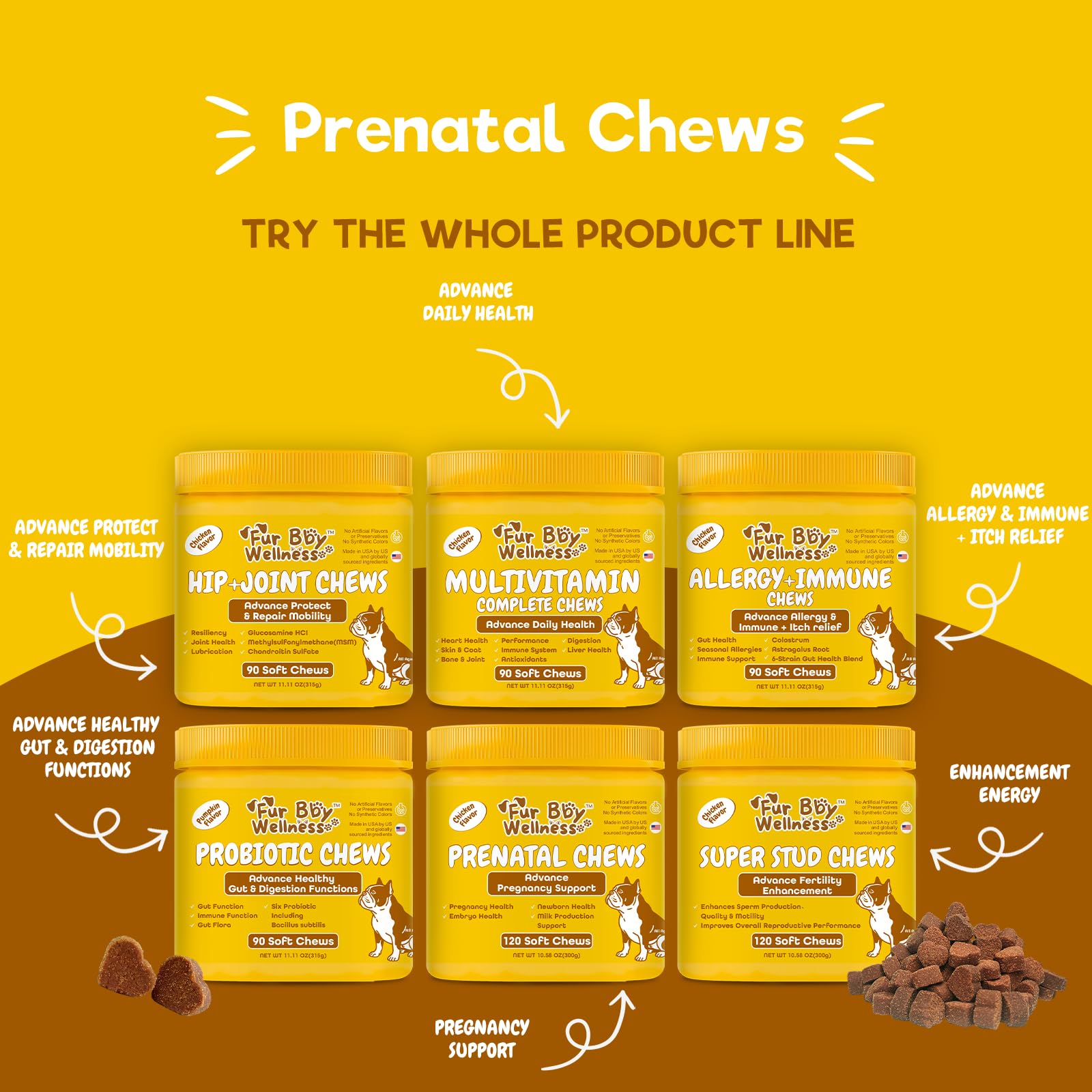Maman chienne avec chiots illustrant objectif Fur Bby Wellness de bon départ pour chiots