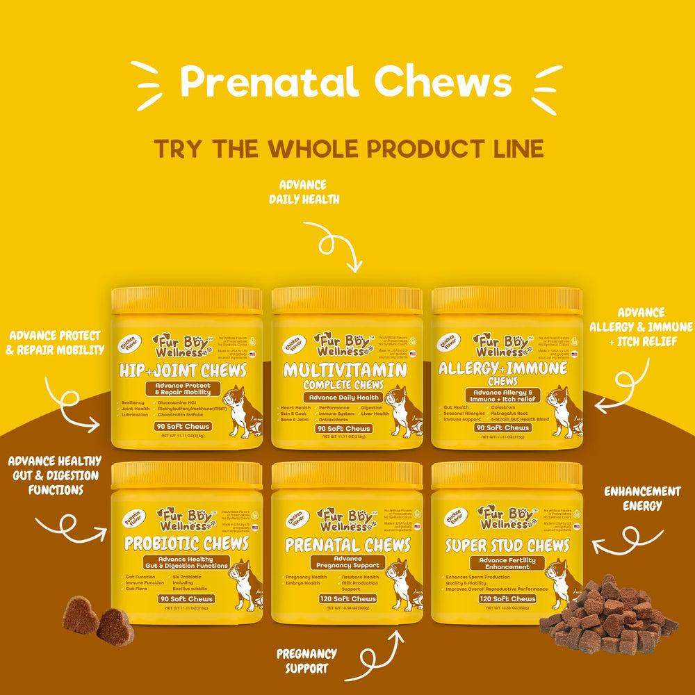 Maman chienne avec chiots illustrant objectif Fur Bby Wellness de bon départ pour chiots