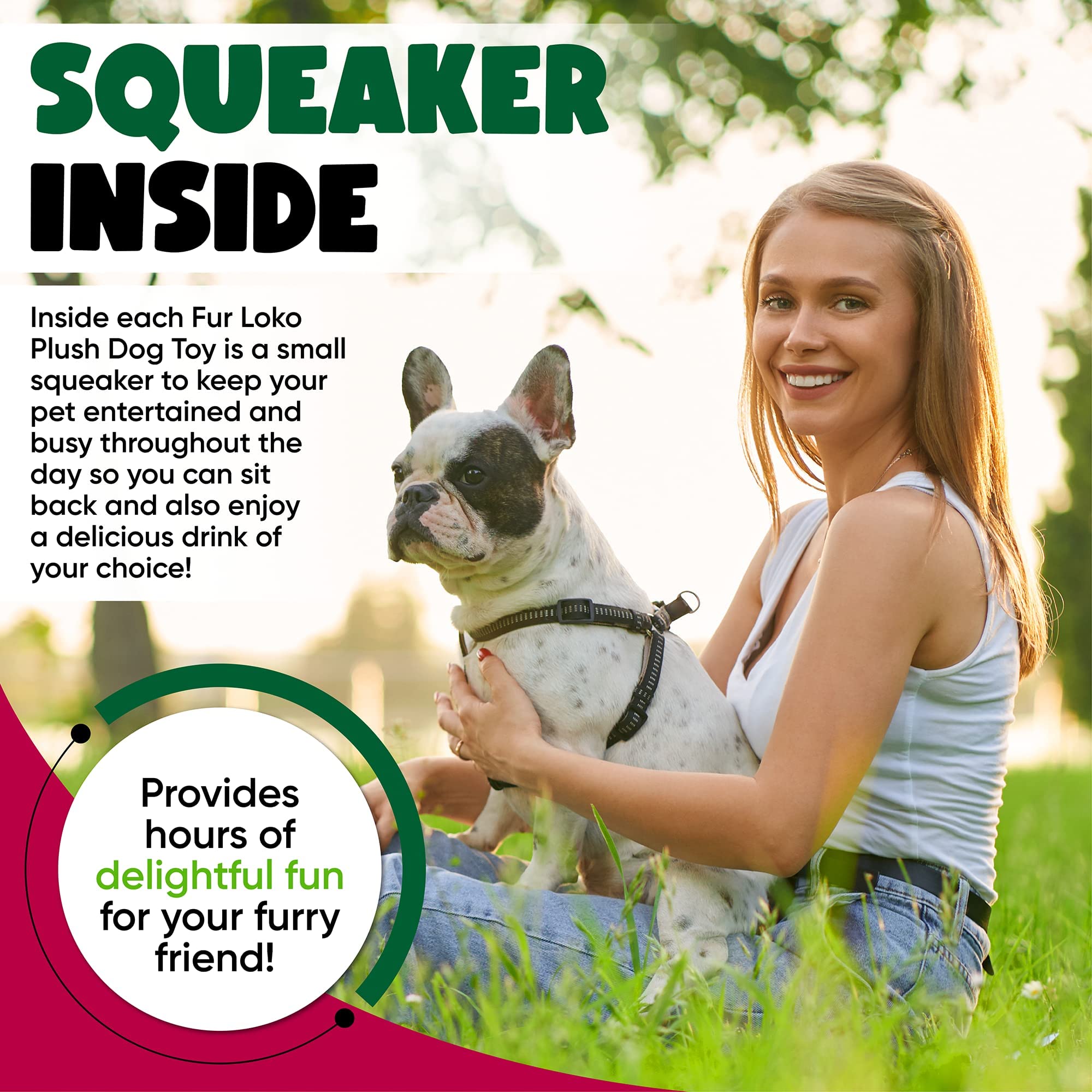 Fur Loko dans la gueule d'un grand chien prouvant solidité et tenue