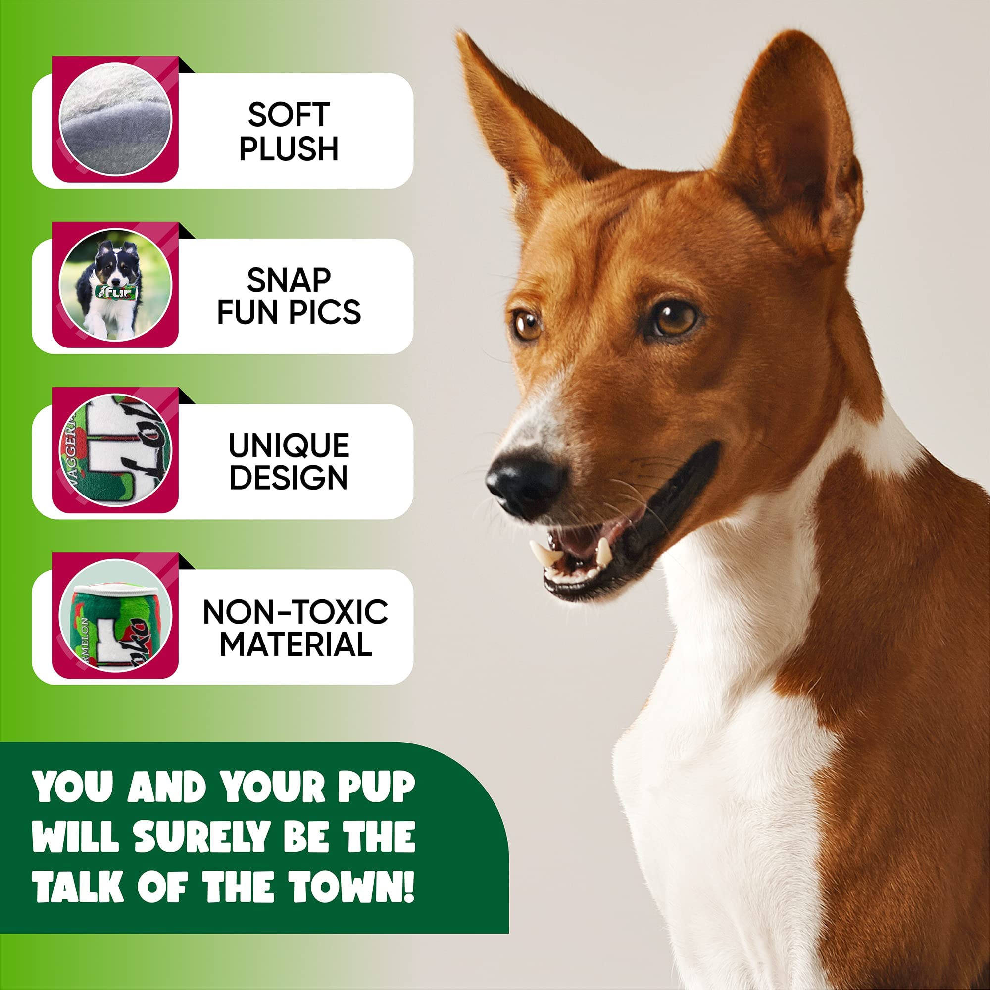 Fur Loko en jeu avec un petit chien montrant stimulation et plaisir
