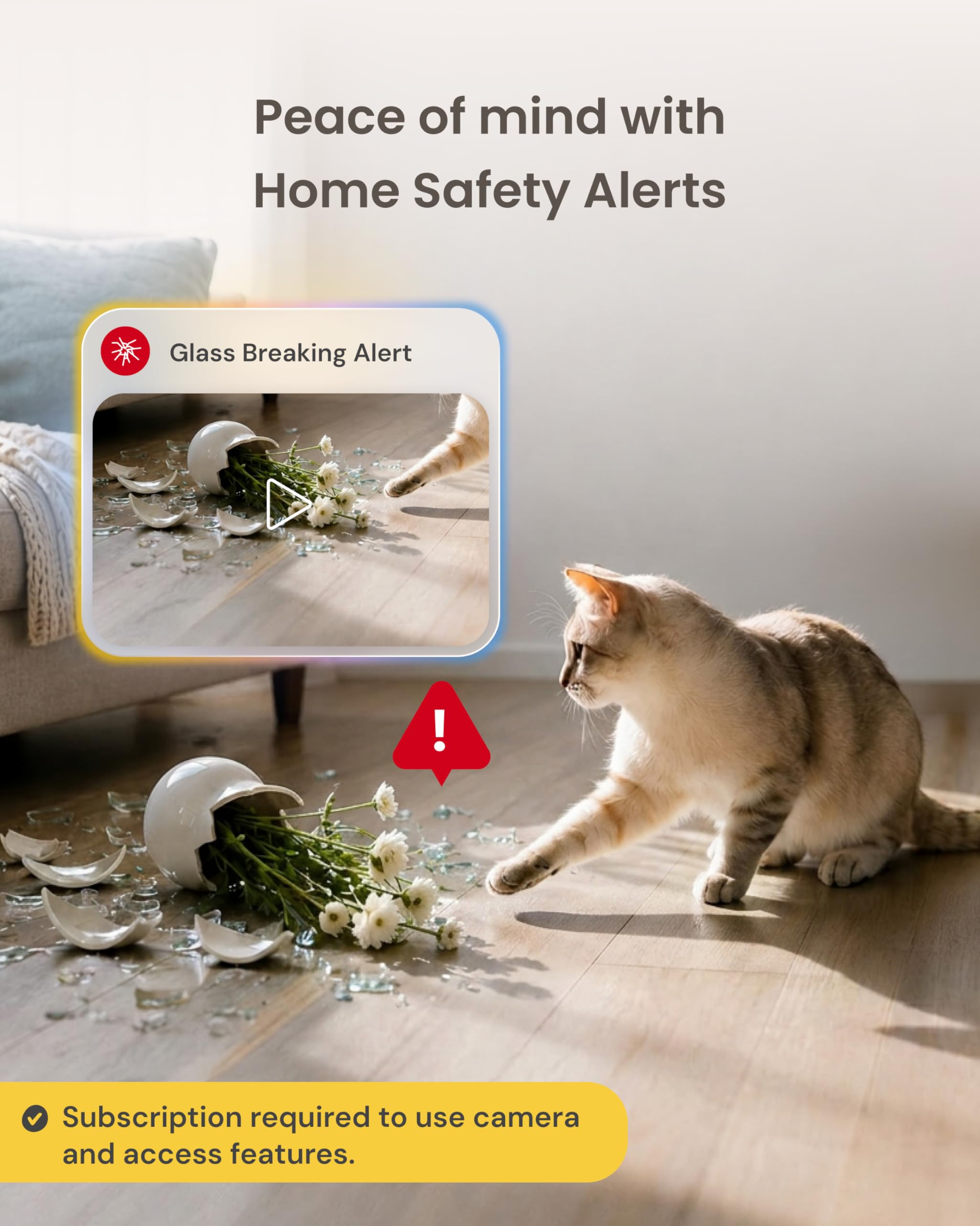 Furbo placé dans un salon montrant intégration discrète et sécurité