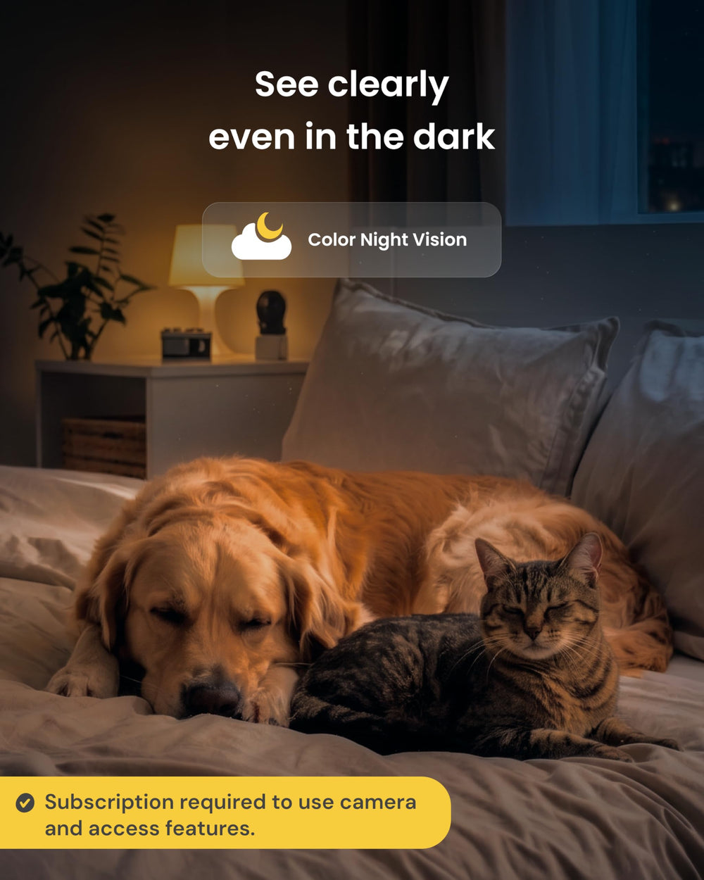Furbo Mini en vision nocturne pour surveillance claire la nuit
