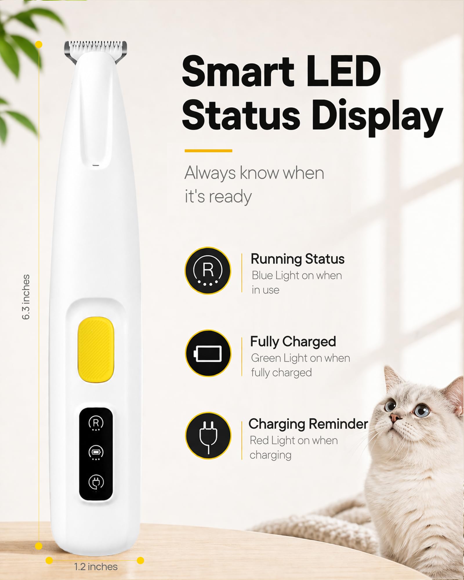 FURBONA à côté d'une main, échelle pour visualiser taille portable