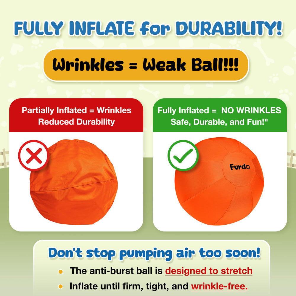Chien de berger poursuivant la balle Furdo, favorisant exercice physique et stimulation mentale