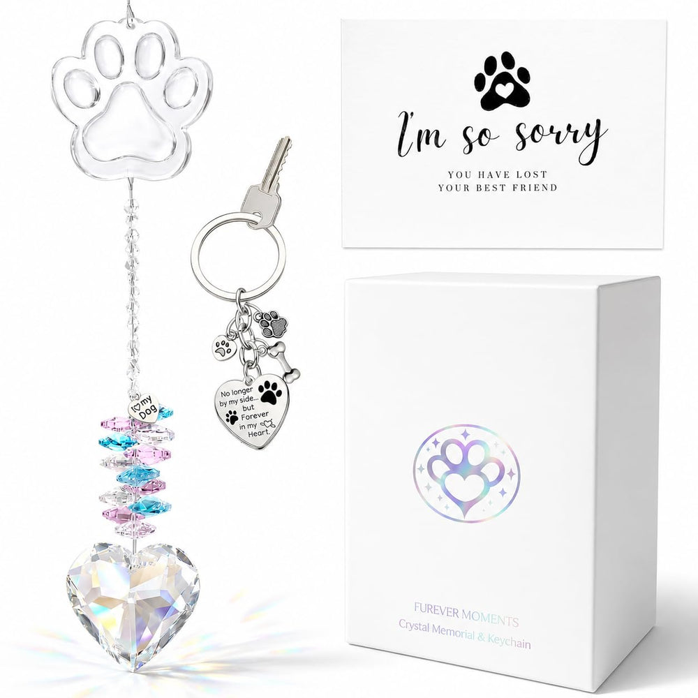 FUREVER MOMENTS coffret ouvert affichant tous les éléments et offrant réconfort