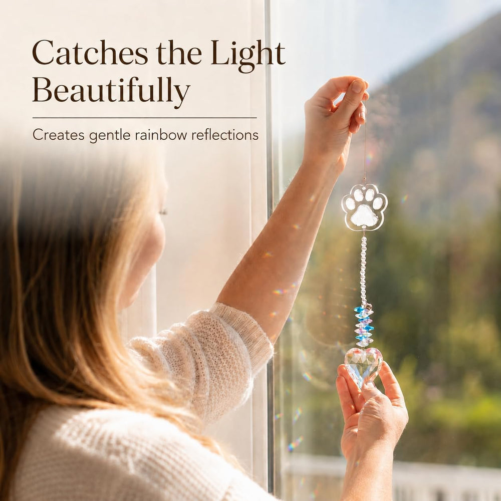 FUREVER MOMENTS scène de vie avec suncatcher près d'une fenêtre apportant lumière