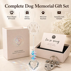 FUREVER MOMENTS suncatcher cœur en cristal montrant les reflets apaisants