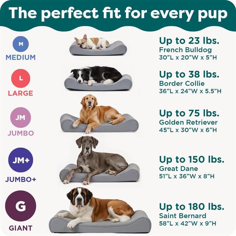 Furhaven chien allongé sur lit, confort réparateur pour repos