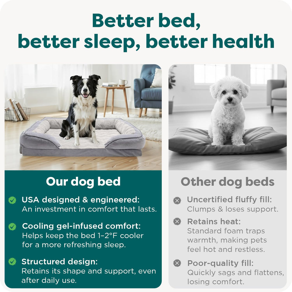 Furhaven chien allongé sur canapé confortable pour repos réparateur