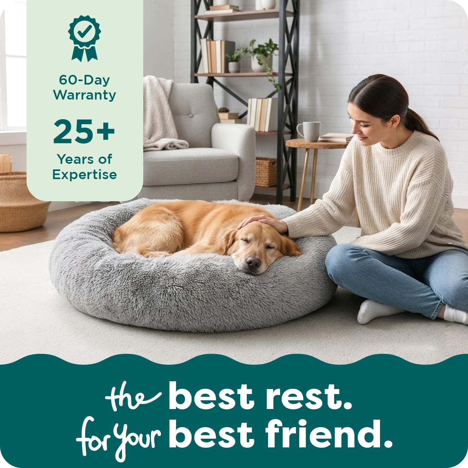 Furhaven lit intégré au salon apportant style et confort domestique