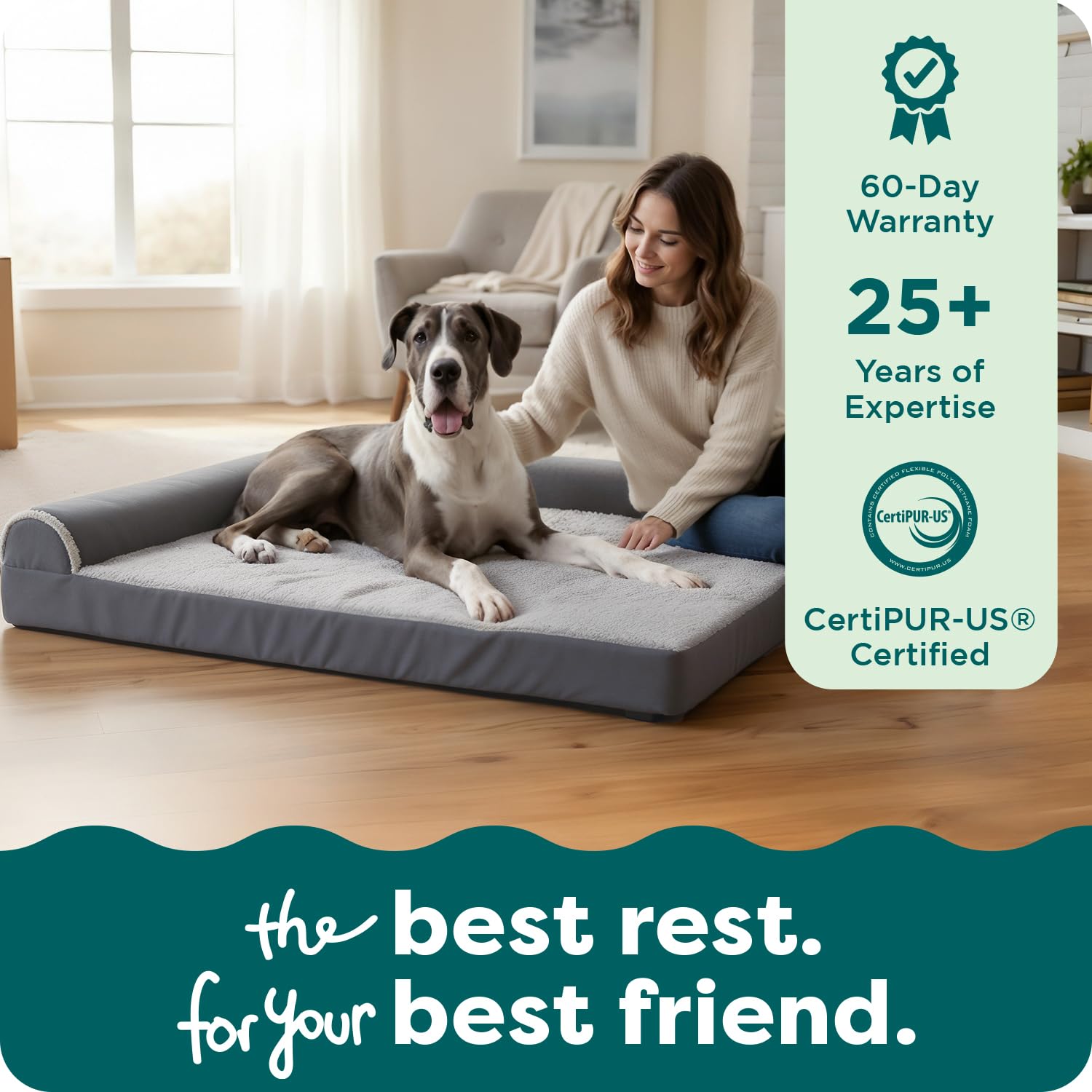 FurHaven coin avec rebord utilisé comme oreiller par le chien
