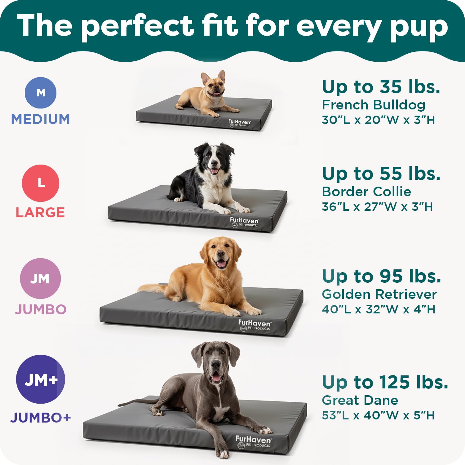 Furhaven comparaison taille avec chien montrant espace de couchage généreux