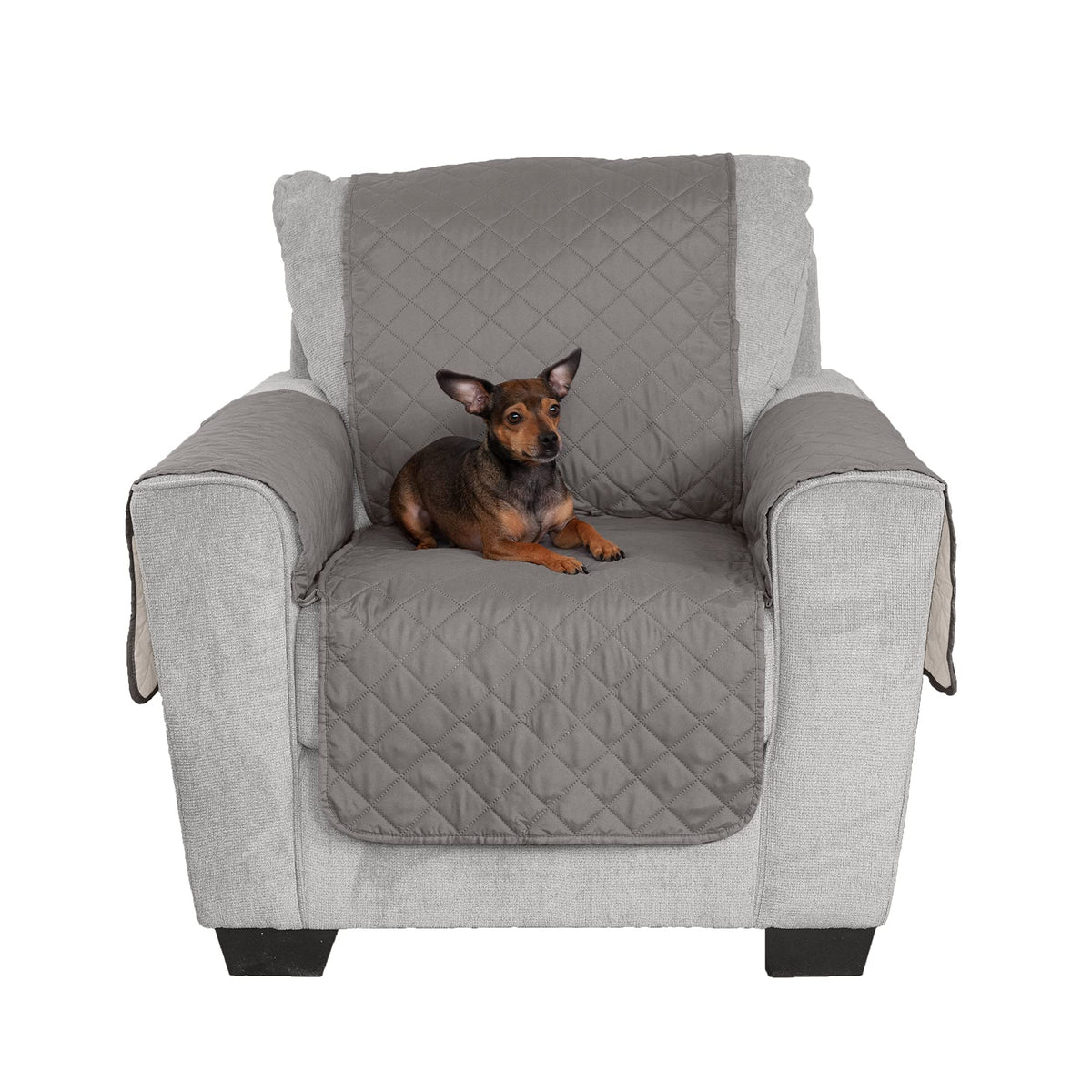 Furhaven housse avant montrant protection complète et style deux tons