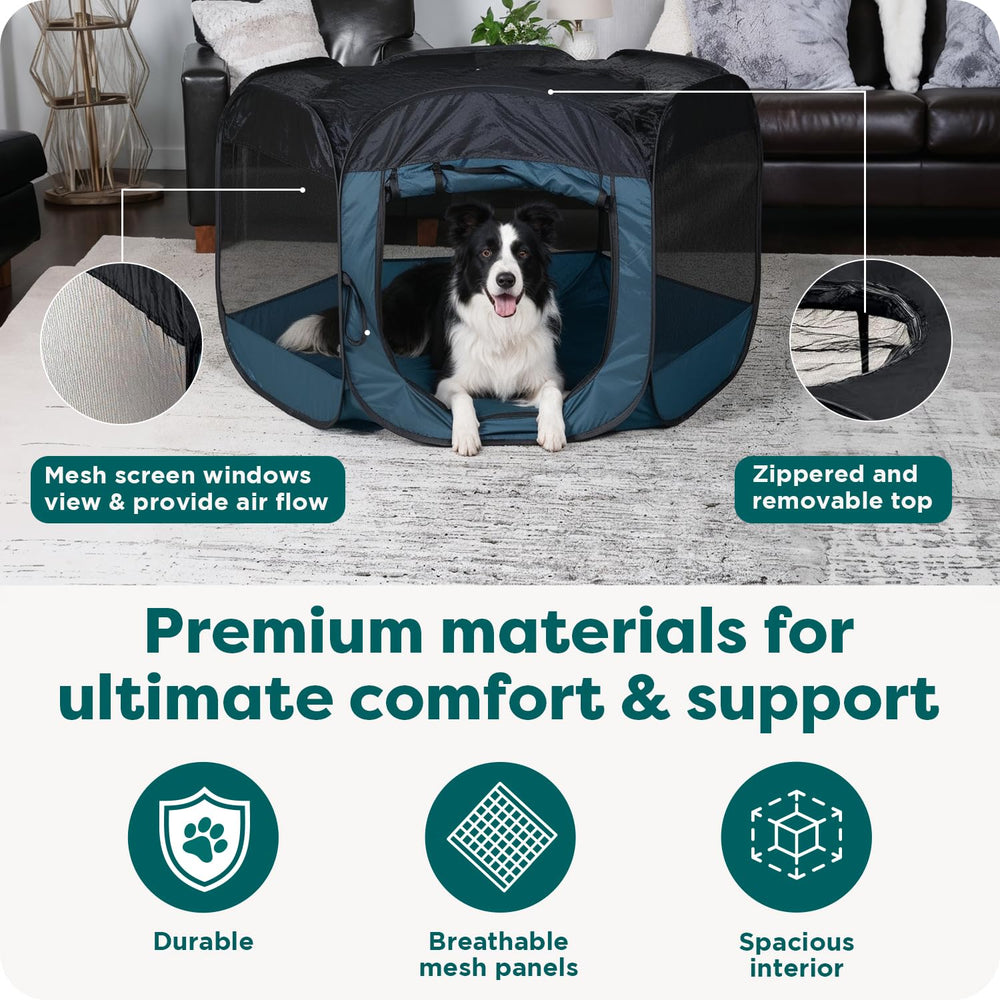 FurHaven intérieur avec tapis lavable pour confort et hygiène