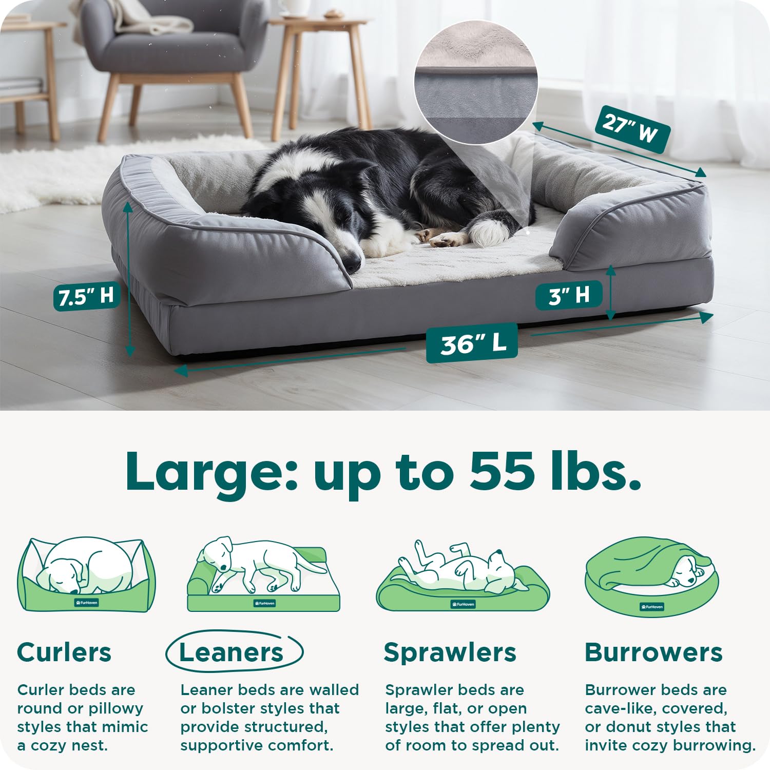 Furhaven coupe de la mousse montrant soutien orthopédique ferme