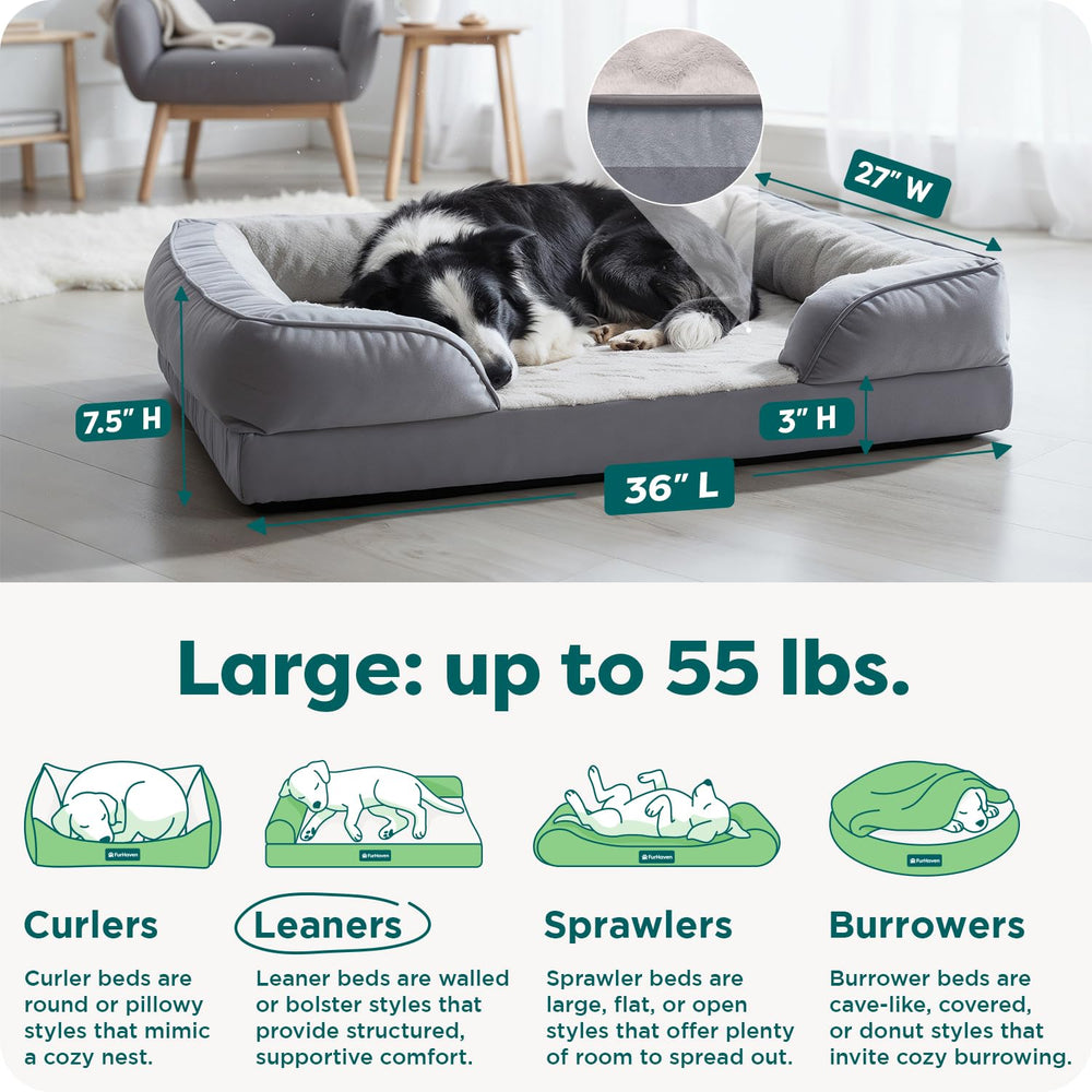 Furhaven coupe de la mousse montrant soutien orthopédique ferme