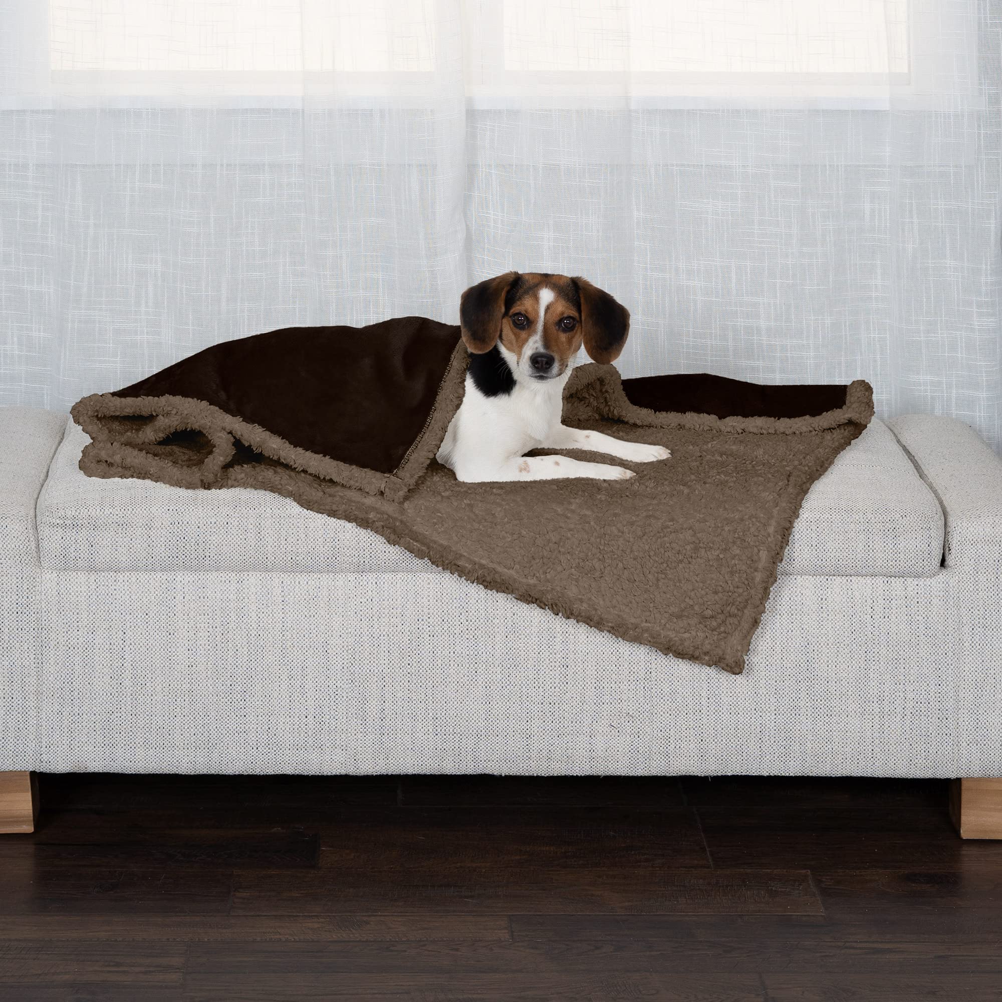 Furhaven gros plan terry absorbant et agréable pour pattes et museau