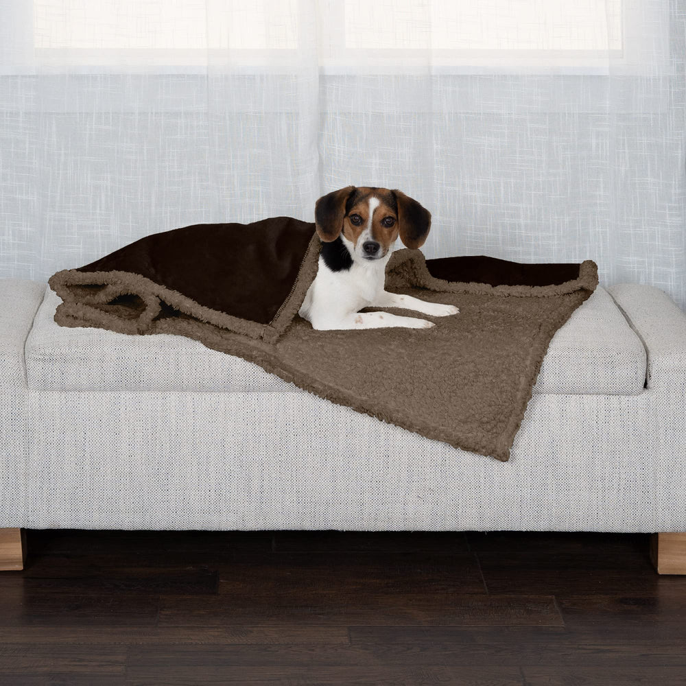 Furhaven gros plan terry absorbant et agréable pour pattes et museau