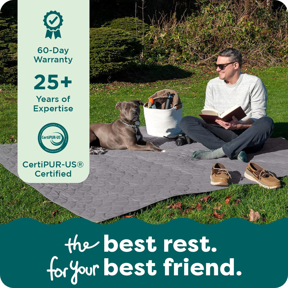 Furhaven scène de vie quotidienne avec animal reposant sur couverture protégée