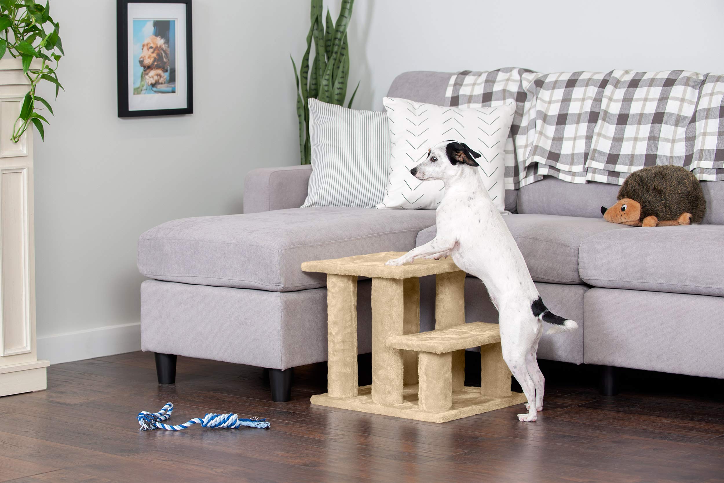 Furhaven chien utilisant marche pour monter confortablement sur canapé