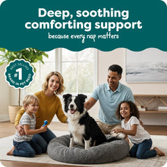 Furhaven gros plan fausse fourrure shaggy pour apaisement tactile