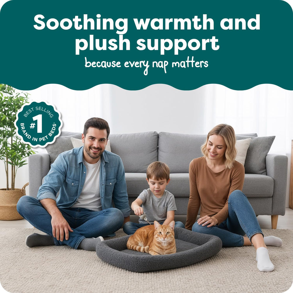 Furhaven gros plan sherpa montrant douceur apaisante pour animal