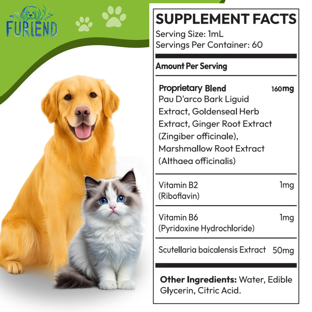 FURIEND chien et chat ensemble illustrant confort cutané et bien-être