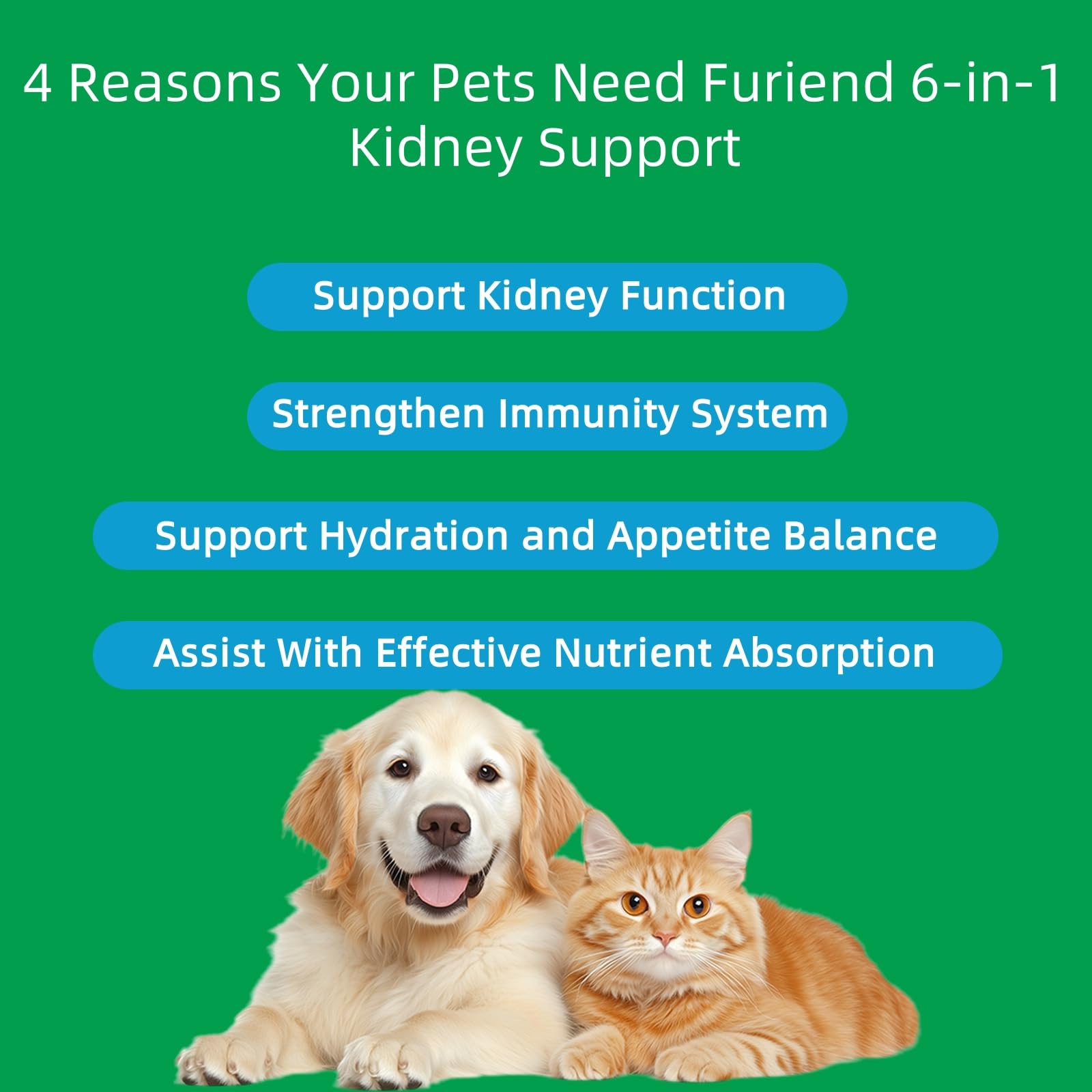 FURIEND compte-gouttes détail pour un dosage précis et pratique au quotidien