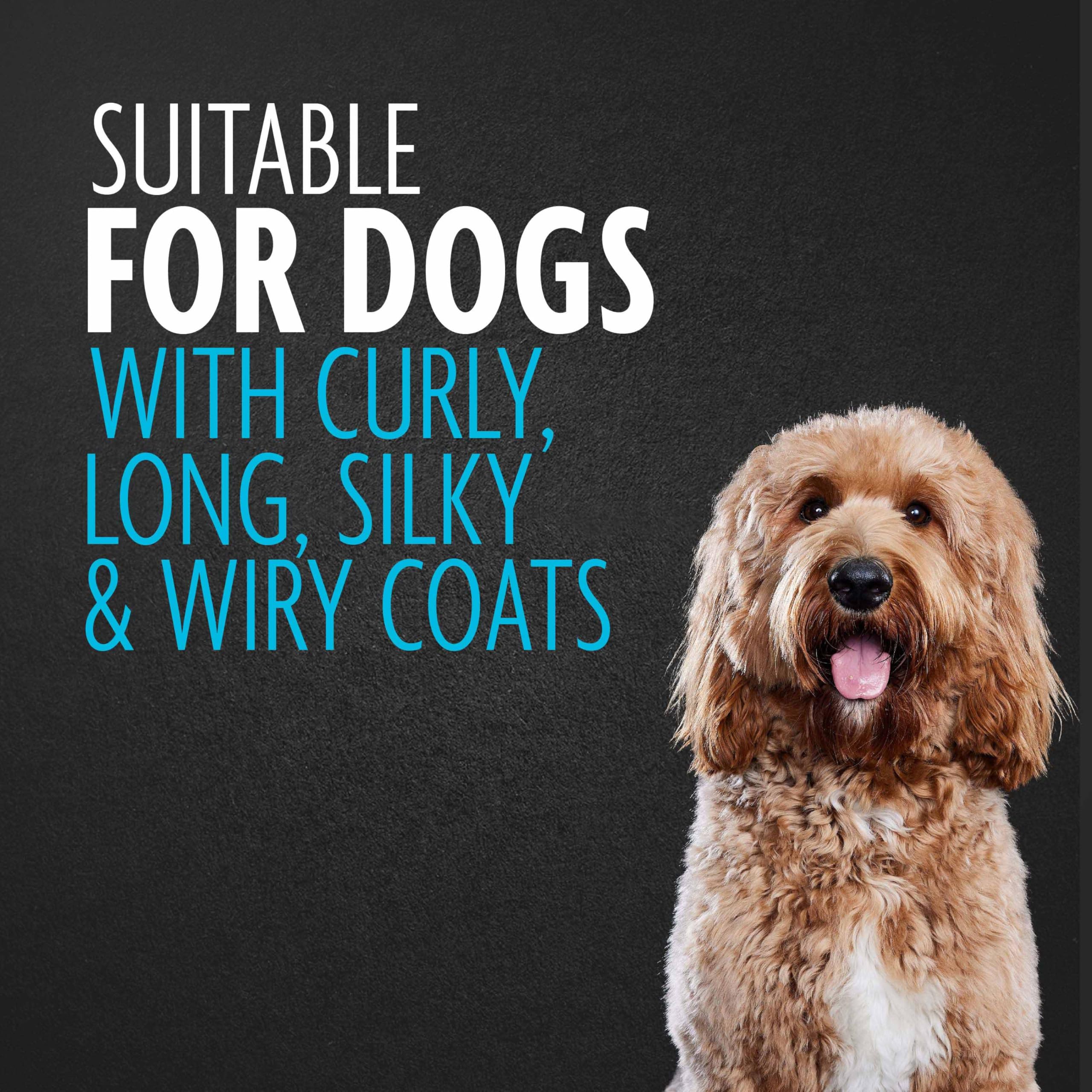FURminator application sur chien bouclé réduisant nœuds et irritation