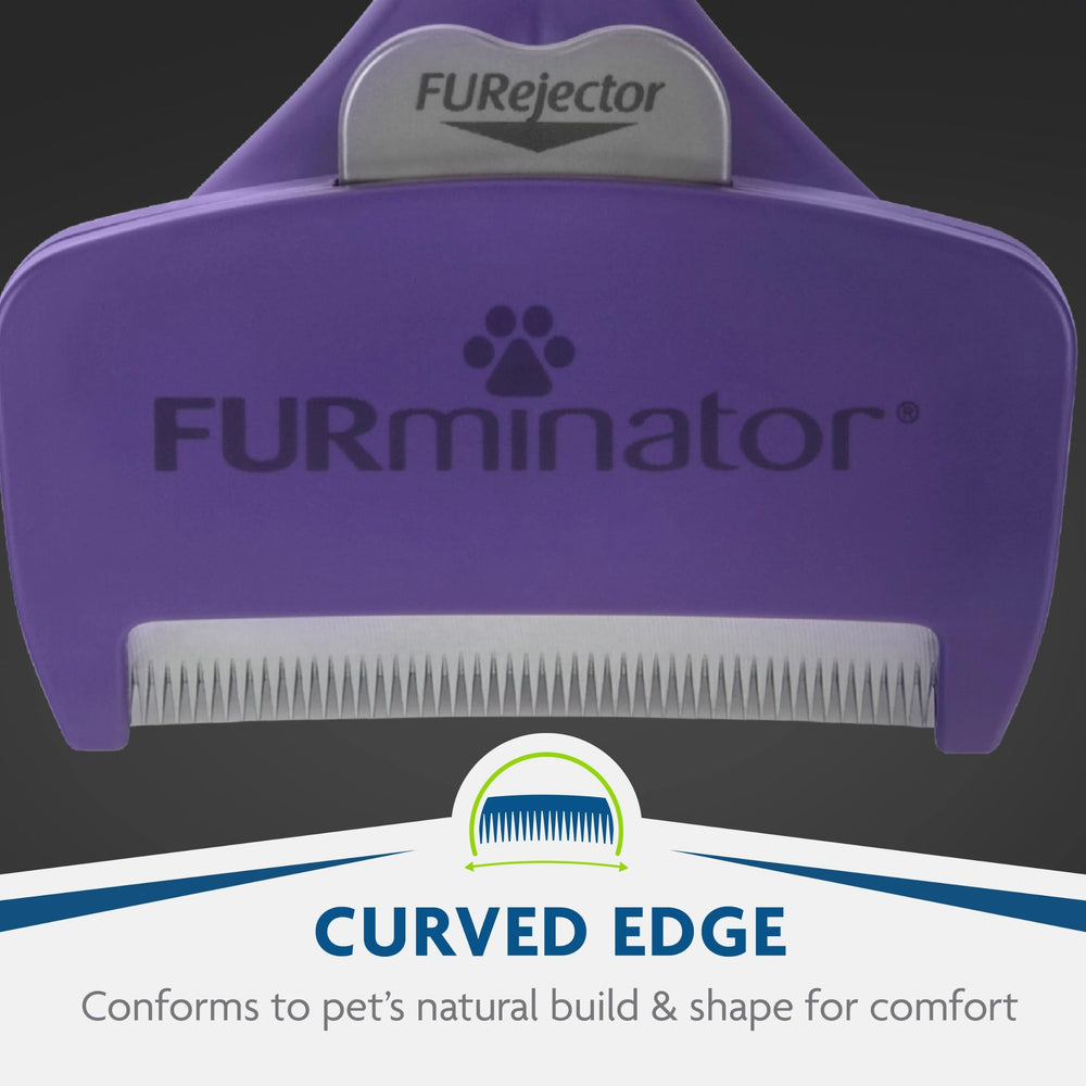 FURminator comparé à un chat pour montrer la taille recommandée pour >10 livres