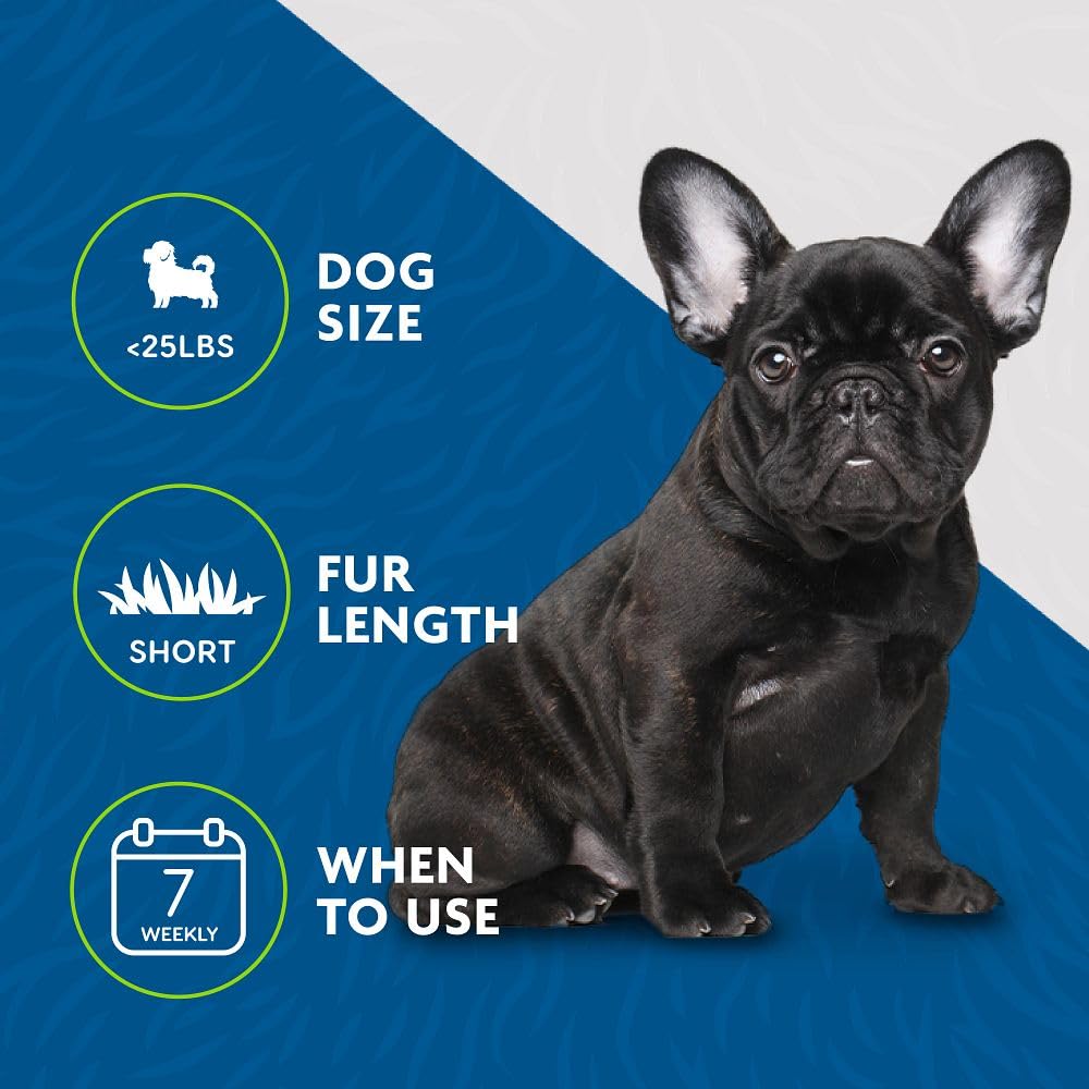 FURminator comparé à une main pour l'échelle, adapté aux petits chiens