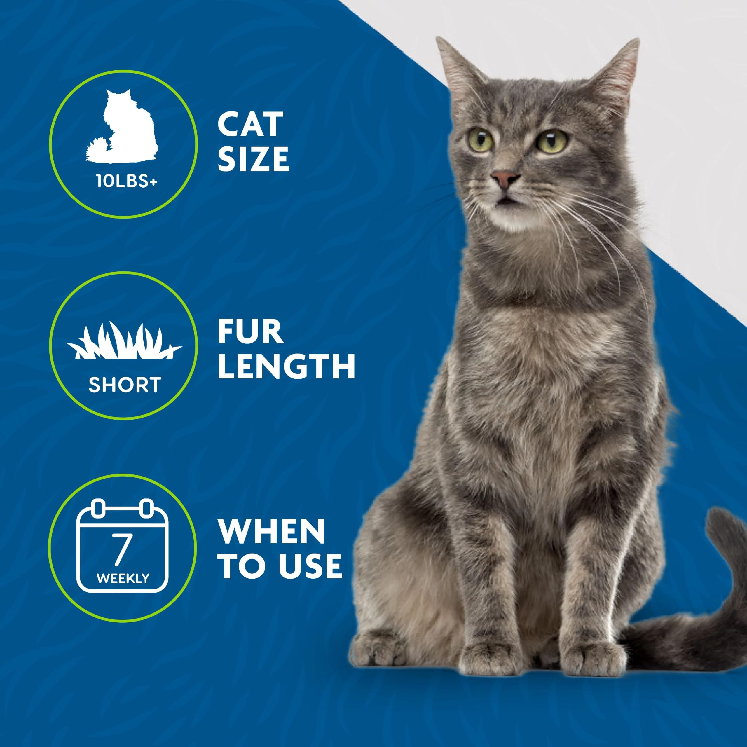 FURminator utilisé sur chat à poil court réduisant les poils visibles dans la maison