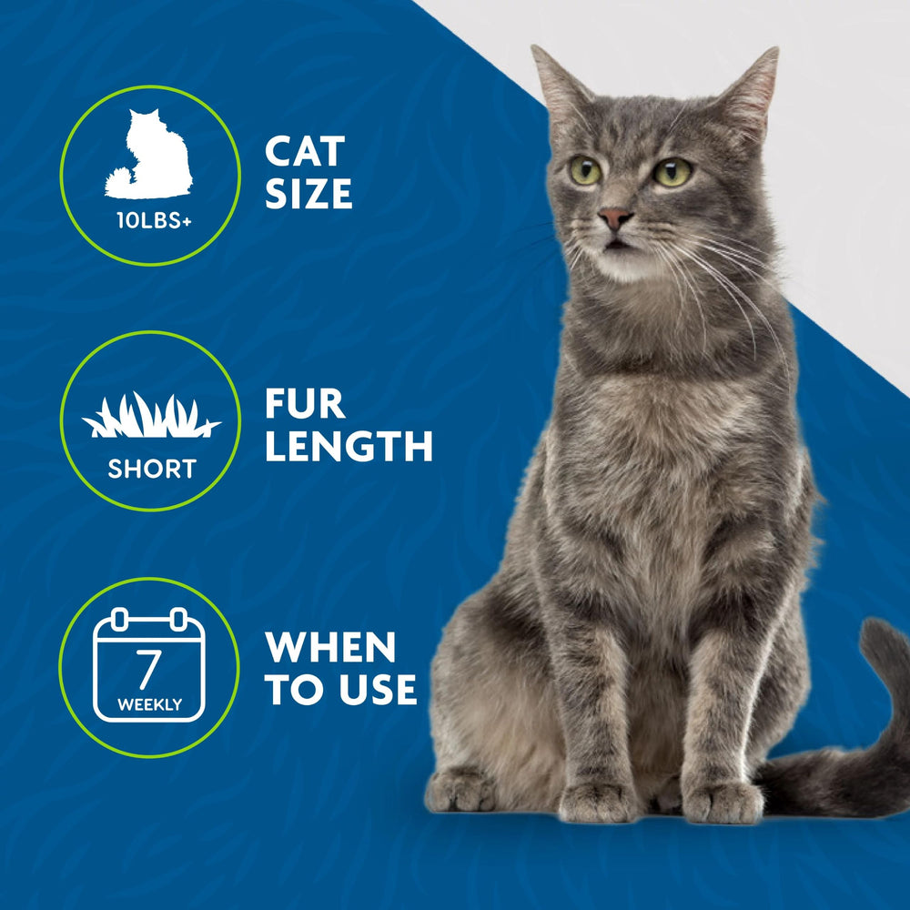 FURminator utilisé sur chat à poil court réduisant les poils visibles dans la maison